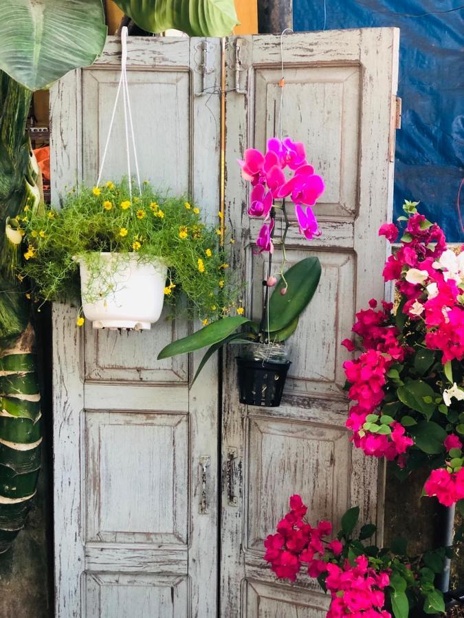 Golden Lantern Tam Thanh Homestay Tam Ky Exterior foto